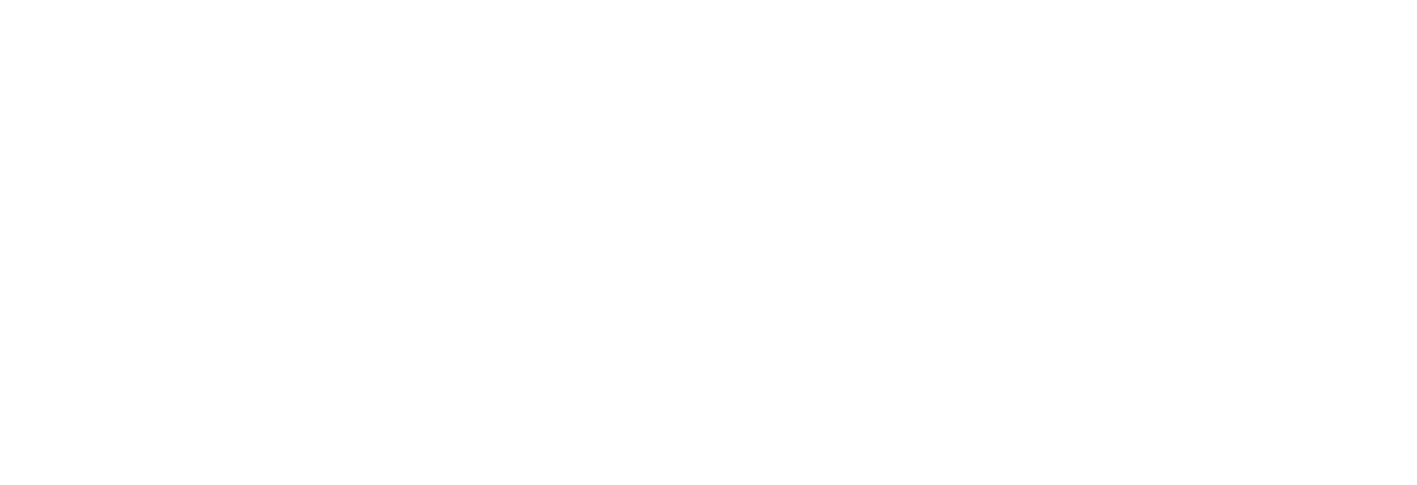 Surgie